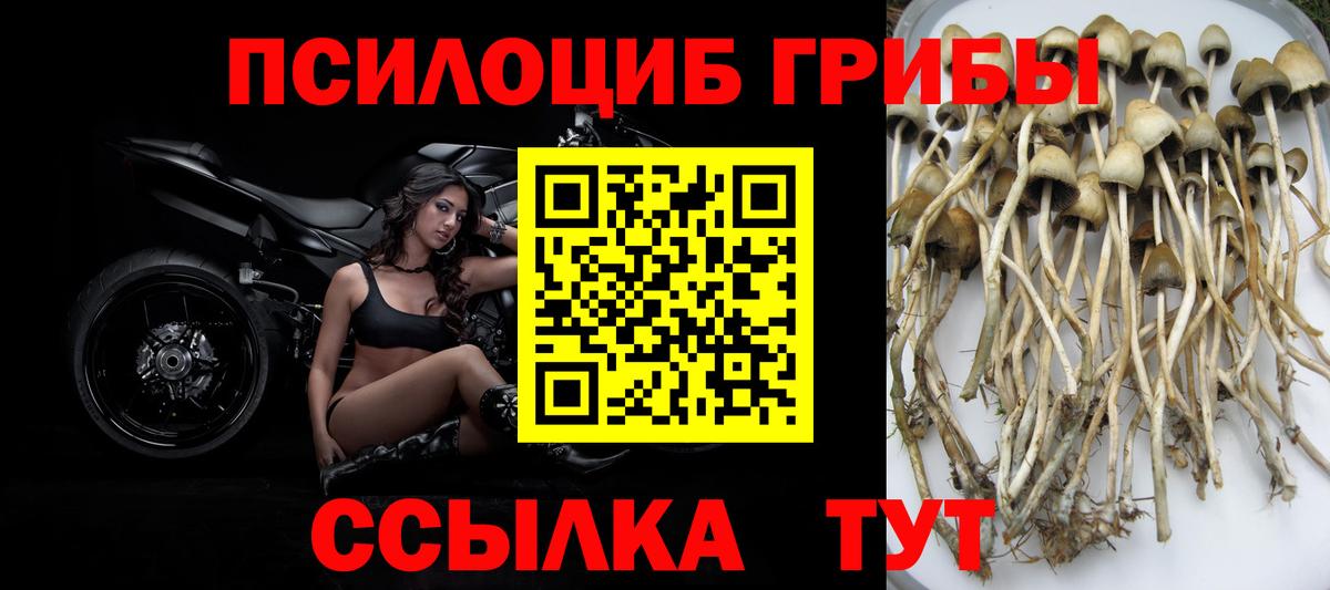 Галлюциногенные грибы MAGIC MUSHROOMS Гусь-Хрустальный