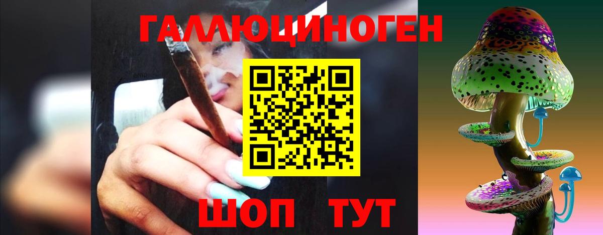 Галлюциногенные грибы Psilocybe  Вход с VPN  наркота  Гусь-Хрустальный 